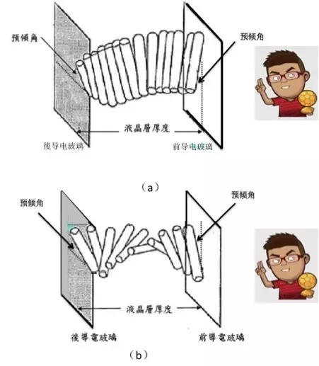 扭转向列型-液晶显示器